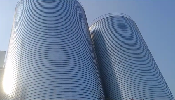 碾子山2座混凝土高架卷板仓